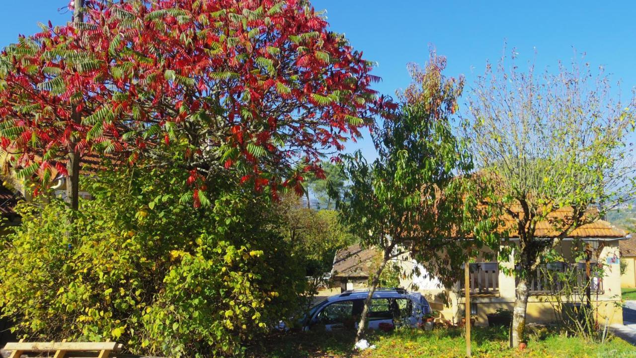 Zen Bed and Breakfast Domme Εξωτερικό φωτογραφία